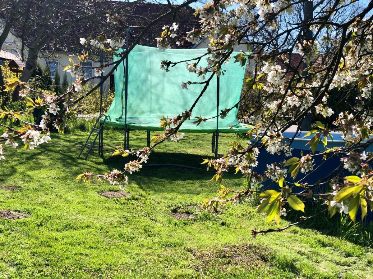 Apartmany Jílovice Dış mekan fotoğraf