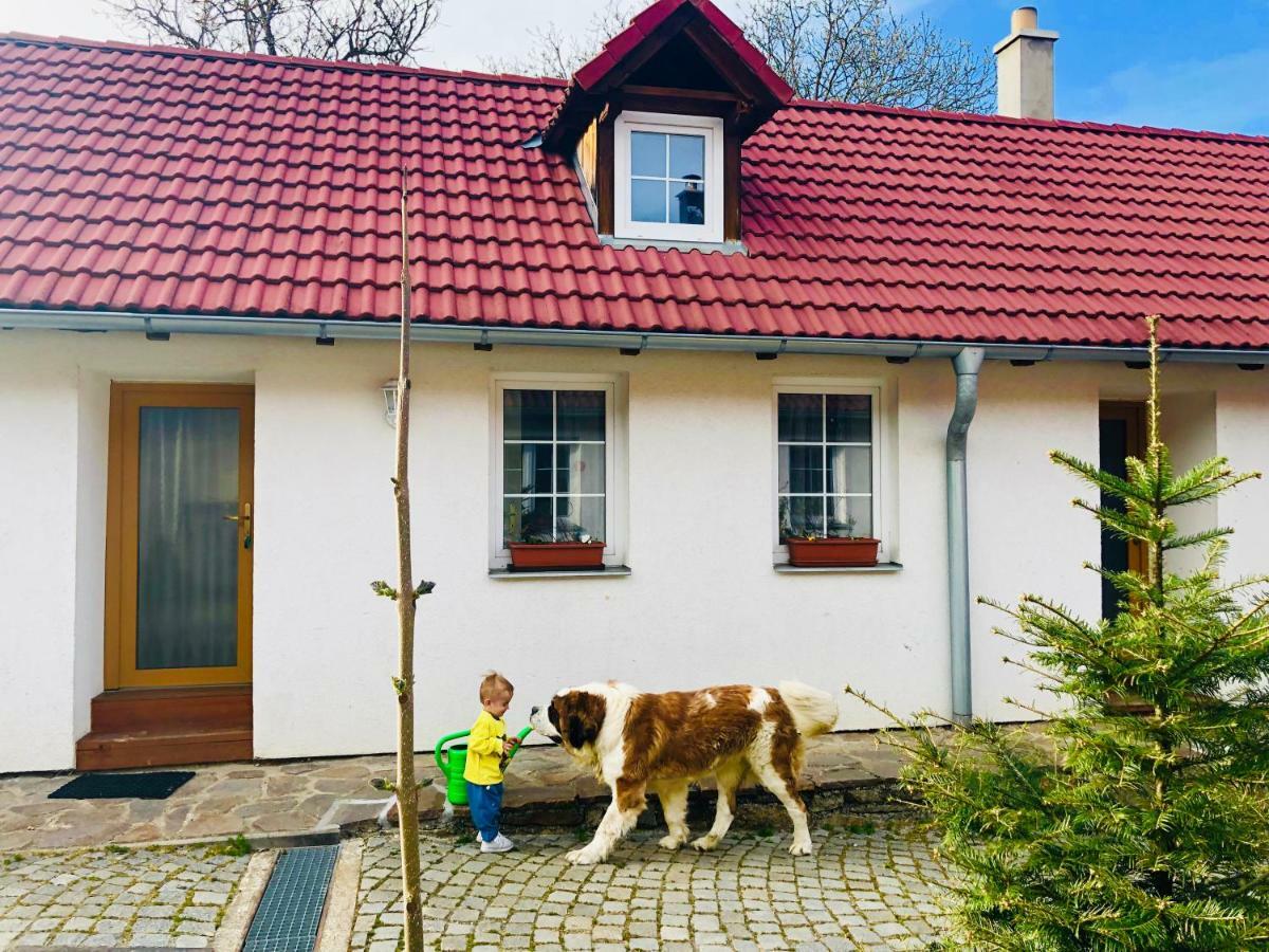 Apartmany Jílovice Dış mekan fotoğraf